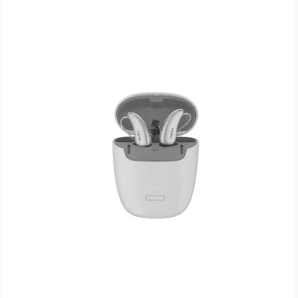 RIC hearing aid style